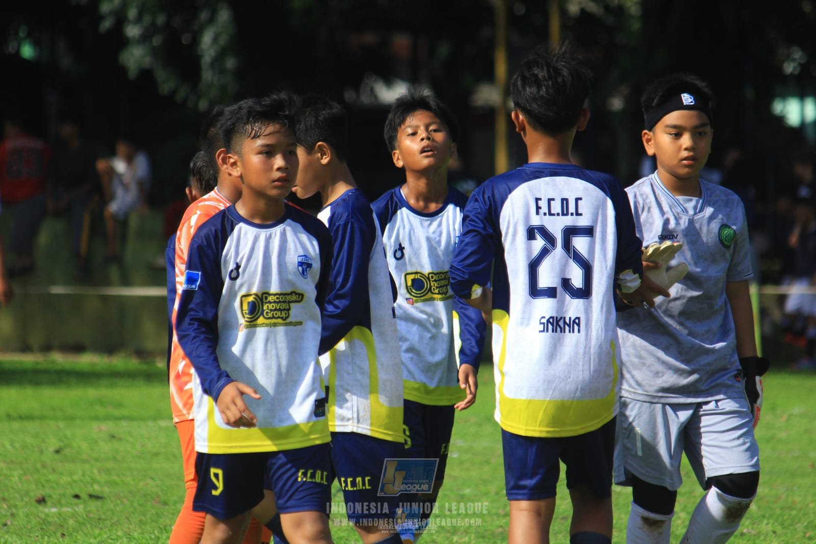 Laga IJL